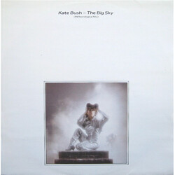 Kate Bush The Big Sky (Meteorological Mix) USED VINYL 12INCH 45 RPM