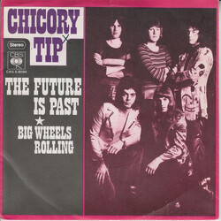 Chicory Tip The Future Is Past USED VINYL 7INCH SINGLE 45 RPM