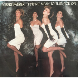 Robert Palmer I Didn't Mean To Turn You On USED VINYL 7INCH 45 RPM SINGLE STEREO