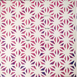 Rhodri Davies / Ingar Zach Ieirll Vinyl LP USED