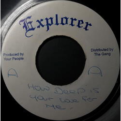 Dru Hill / Redman / Jay-Z How Deep Is Your Love / Can I Get A... Vinyl 7" USED