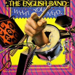 The Joe English Band What You Need Vinyl LP USED