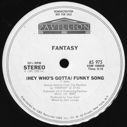 Fantasy (2) (Hey Who's Gotta) Funky Song USED VINYL 12INCH PROMO
