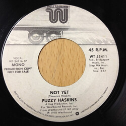 Fuzzy Haskins Not Yet USED VINYL 7INCH 45 RPM PROMO