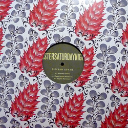 Esteban Adame Mayan Basement EP USED VINYL 12INCH 33 S RPM 45 RPM EP