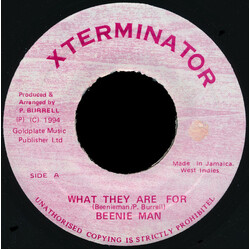 Beenie Man What They Are For USED VINYL 7INCH 45 RPM