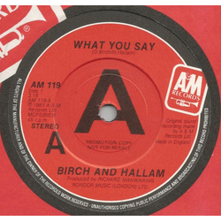 Birch And Hallam What You Say Vinyl 7" USED