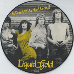 Liquid Gold Where Did We Go Wrong? USED VINYL 7INCH 45 RPM SINGLE PICTURE DISC