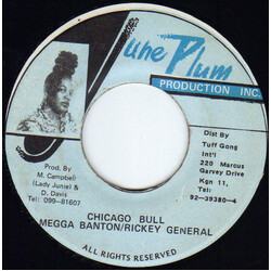 Mega Banton / Ricky General Chicago Bull USED VINYL 7INCH 45 RPM