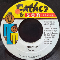 Mad Cobra / Steely & Clevie Big It Up / Big It Up (Version) USED VINYL 7INCH 45 RPM