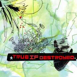 True If Destroyed True If Destroyed USED VINYL 12INCH