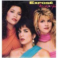 Exposé What You Don't Know Vinyl LP USED