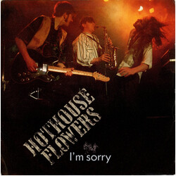 Hothouse Flowers I'm Sorry USED VINYL 7INCH 45 RPM SINGLE