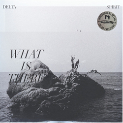 Delta Spirit What Is There Vinyl LP USED