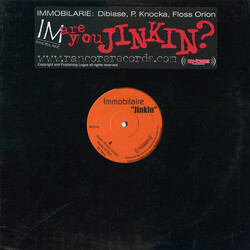 Immobilarie Jinkin USED VINYL 12INCH 33 S RPM SINGLE
