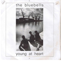 The Bluebells Young At Heart Vinyl 7" USED