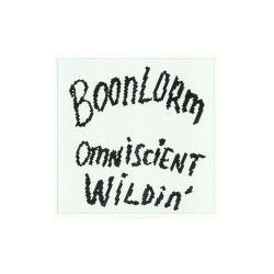 Boonlorm Omniscient Wildin USED VINYL 12INCH