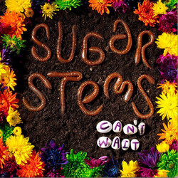 The Sugar Stems Can't Wait Vinyl LP USED