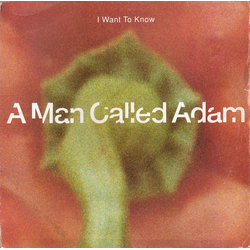 A Man Called Adam I Want To Know Vinyl 12" USED