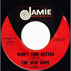 The New Hope Won't Find Better (Than Me) / They Call It Love Vinyl 7" USED