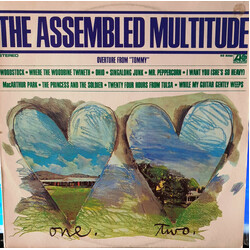 The Assembled Multitude The Assembled Multitude Vinyl LP USED