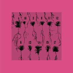 Thomalla (2) Imaginary Solutions USED VINYL 12INCH 33 S RPM