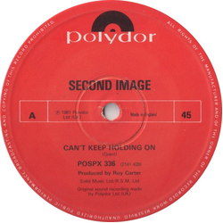 Second Image Can't Keep Holding On Vinyl 12" USED