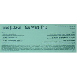 Janet Jackson You Want This USED VINYL 12INCH PROMO