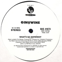 Ginuwine Whats So Different USED VINYL 12INCH 33 S RPM PROMO STEREO