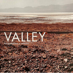 Thisquietarmy / Yellow6 Valley Vinyl LP USED