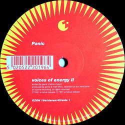 Panic Voices Of Energy II Vinyl 12" USED