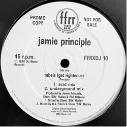 Jamie Principle Rebels (Get Righteous) USED VINYL 12INCH PROMO