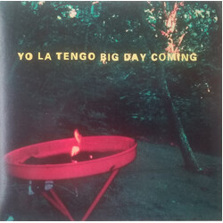 Yo La Tengo Big Day Coming VINYL 7" USED