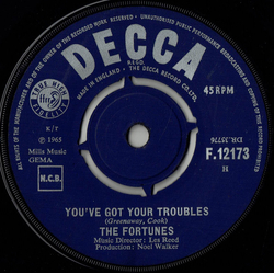 The Fortunes You've Got Your Troubles Vinyl 7" USED