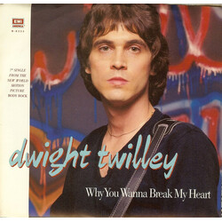 Dwight Twilley Why You Wanna Break My Heart USED VINYL 7INCH 45 RPM SINGLE