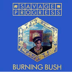 Savage Progress Burning Bush Vinyl 12" USED