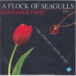A Flock Of Seagulls Remember David USED VINYL 7INCH SINGLE