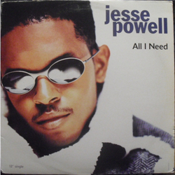 Jesse Powell All I Need Vinyl 12" USED