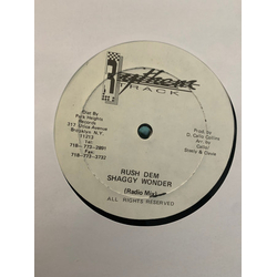 Shaggy Wonder / Barry O'Hare Rush Dem Vinyl 12" USED