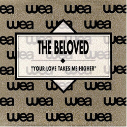 The Beloved Your Love Takes Me Higher Vinyl 7" USED