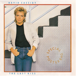 David Cassidy The Last Kiss Vinyl 7" USED
