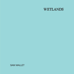 Sam Mallet Wetlands Vinyl LP USED