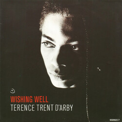 Terence Trent D'Arby Wishing Well USED VINYL 7INCH 45 RPM SINGLE STEREO