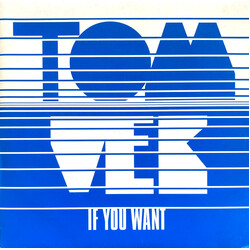 Tom Vek If You Want VINYL 7" USED
