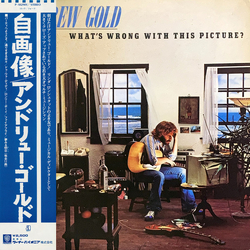 Andrew Gold What's Wrong With This Picture? Vinyl LP USED