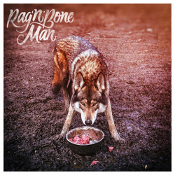 Rag'n'Bone Man Wolves Vinyl 12" USED