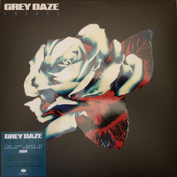 Grey Daze Amends Vinyl LP USED