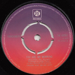 Parchment You Are My Morning Vinyl 7" USED