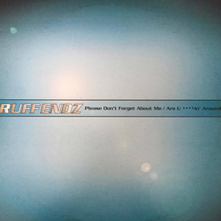 Ruff Endz Please Don't Forget About Me / Are U ****in' Around Vinyl 12" USED