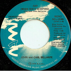 John Bellante / Carl Bellante Amy (When She's Sleeping) USED VINYL 7INCH 45 RPM PROMO